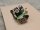 MAHO MH600 E2 Schaltgetriebe Getriebe #used