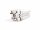 FESTO Kompaktzylinder ADVUL-32-50-PA 156881 #used