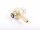 RIEGLER Schwenktülle G 1/4 a., für Schlauch LW 6, Messing vern./Messing 74-046 #new w/o box