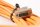 LAPP Kabel 4500377640/5AC R113000117 7072401 15m gebraucht